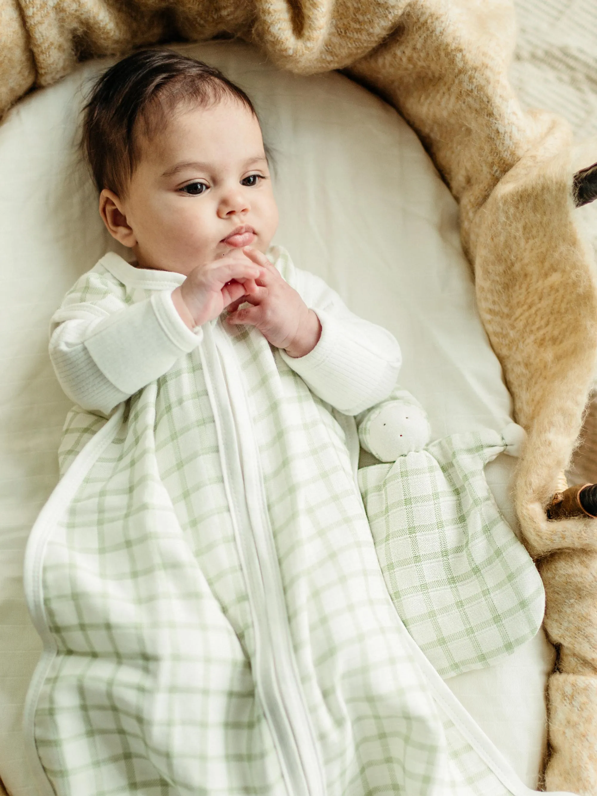 Muslin Sleep Sack - Sage Windowpane