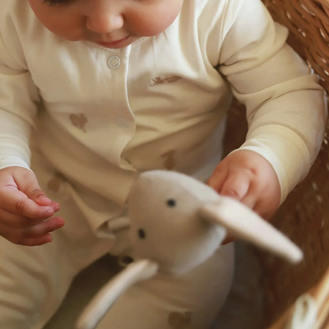 Organic Baby Clothing Unisex Sleepsuit 'Bunnies'