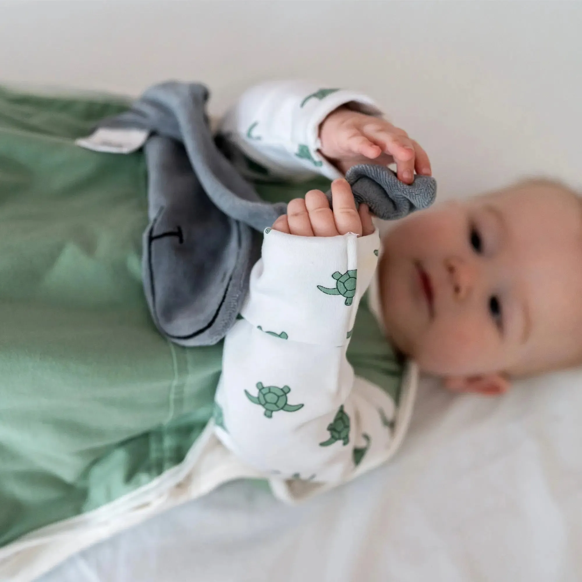 Winter Sleepsuit With Padded Sleeves (2pk) - Turtle