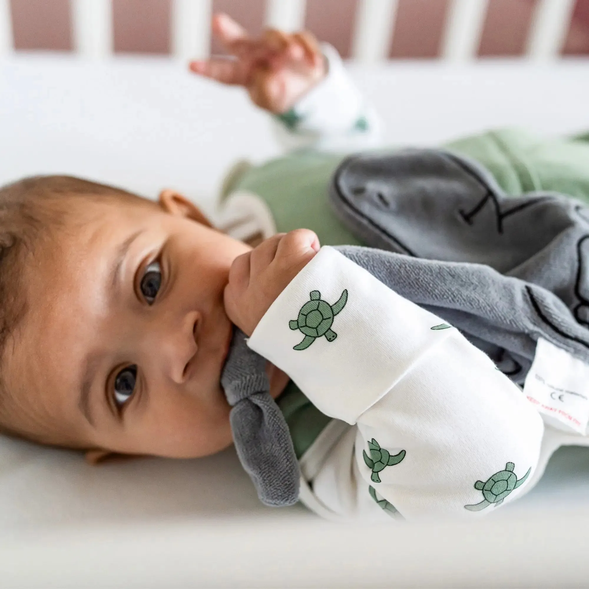 Winter Sleepsuit With Padded Sleeves (2pk) - Turtle