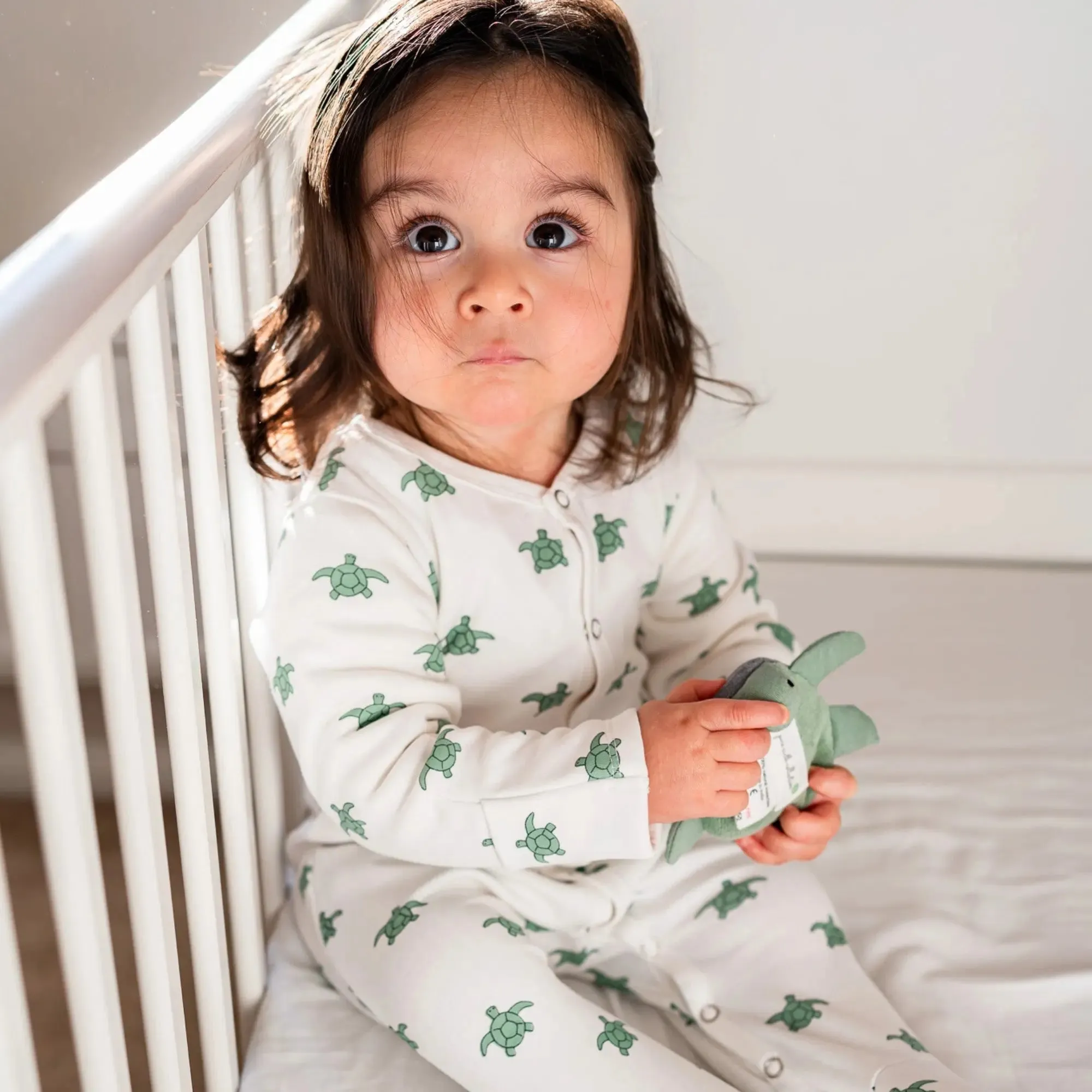 Winter Sleepsuit With Padded Sleeves (2pk) - Turtle